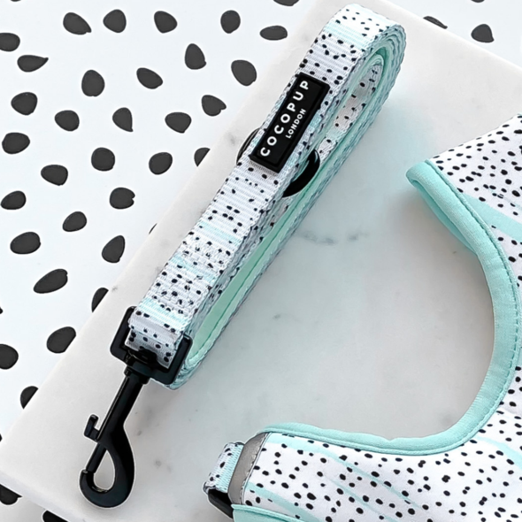 Mint Dalmation Leash