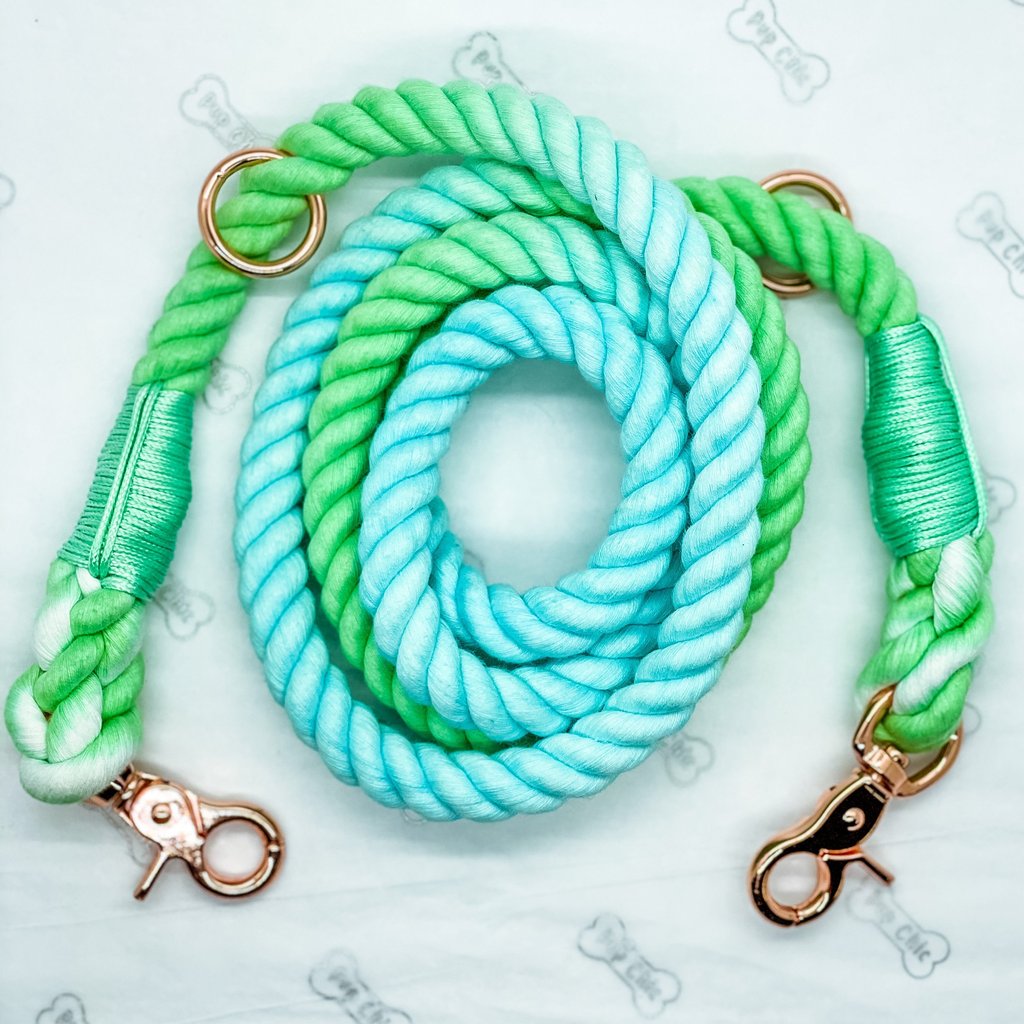 Aqua Marine Ombre Adjustable Rope Leash