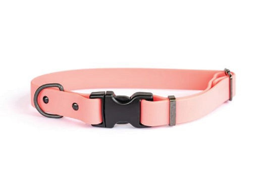 Waterproof Quick Release Dog Collar - Coral, Medium