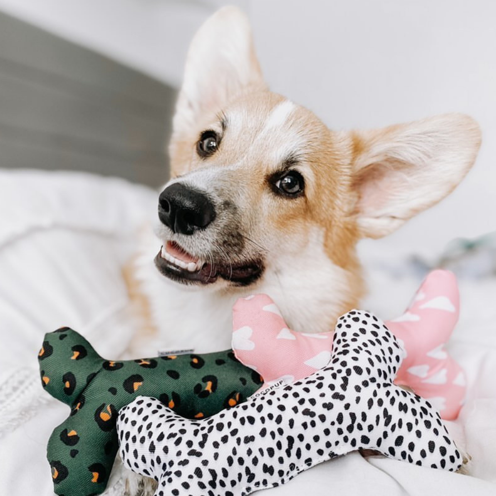 Khaki Leopard Bone Toy