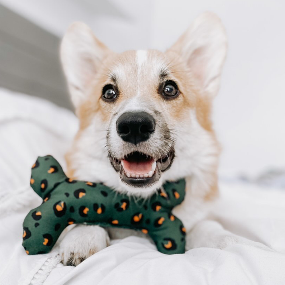 Khaki Leopard Bone Toy