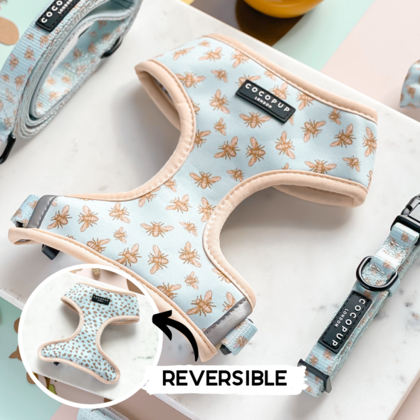 Bee Kind Reversible Harness