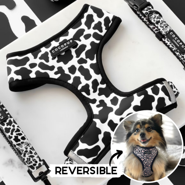 Cow Reversible Harness