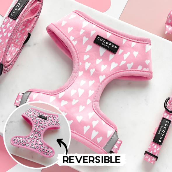 Cupid Reversible Harness