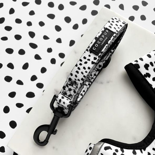 Monochrome Spots Leash